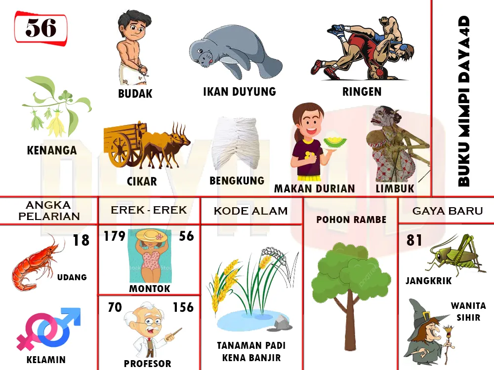 buku mimpi erek erek togel 56